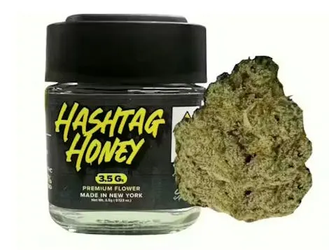 GMO Cookies (H/I) Flower 3.5g | Verdi - Chelsea