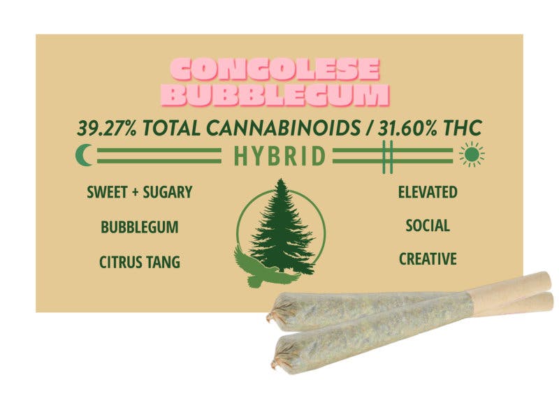 2Js | Pre-Rolls | Sativa Dominant Hybrid | Congolese Bubblegum x 2 Pack