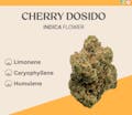 Standard Farms:  Cherry Dosido - 14.15g