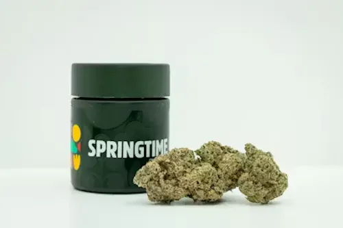 Curacao (S) – (3.5g)-1