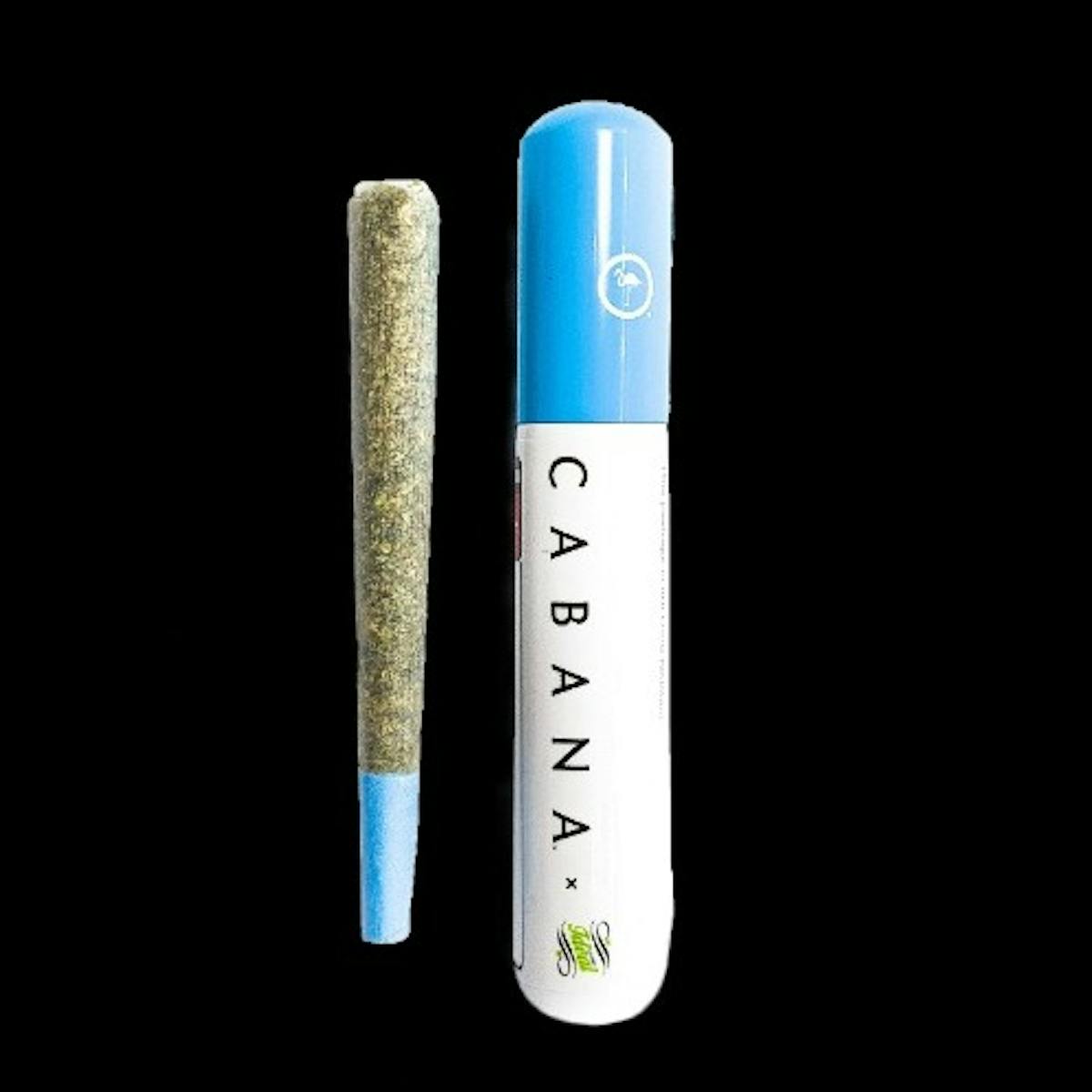 Photo of Scouts Honor Preroll (Cabana)