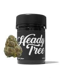 Heady Tree | Cherry Payton | Flower | 3.5g