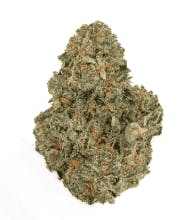 Product: Dyno Candy | FLWRpot