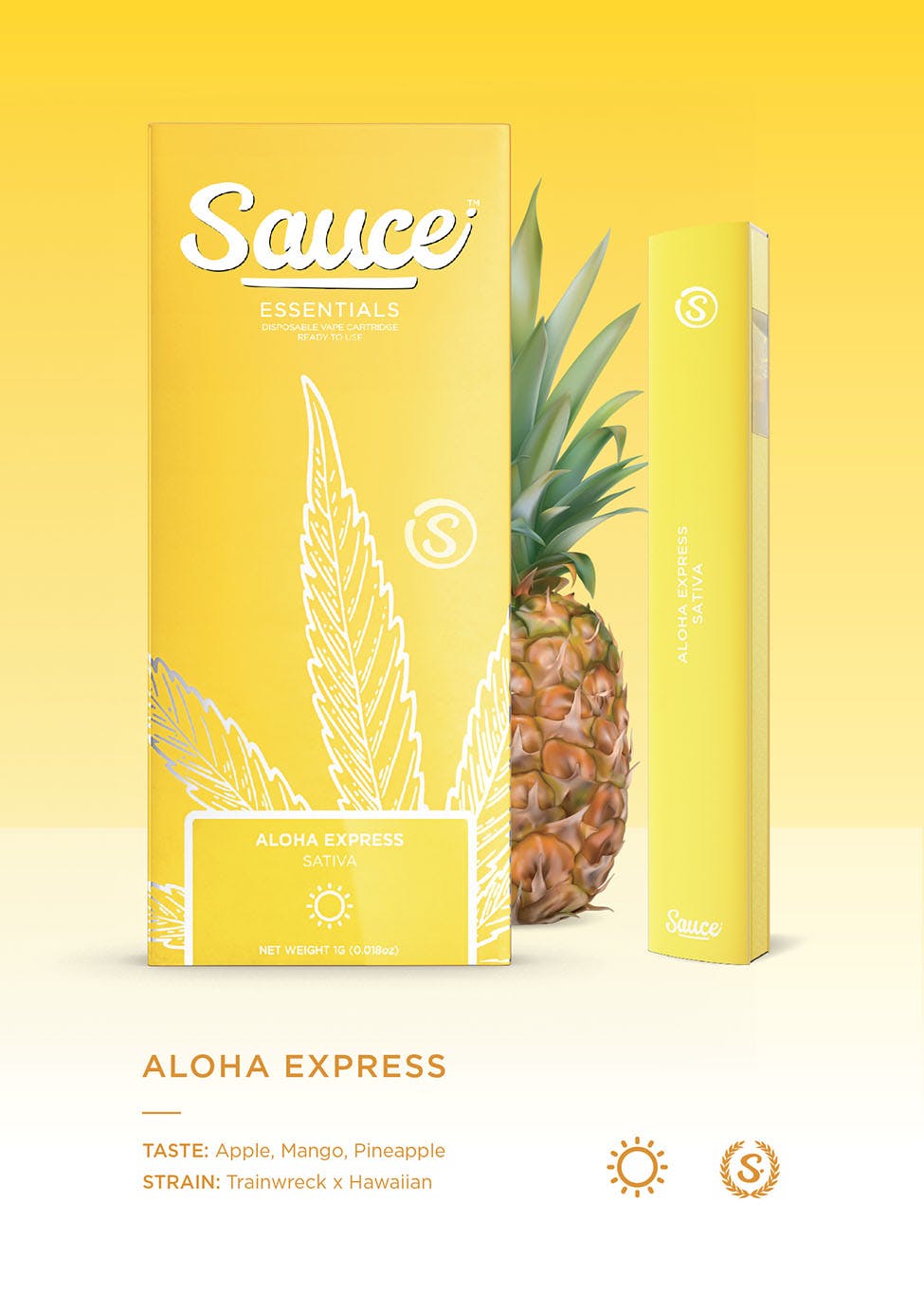 Aloha Express Disposable Vape 1g RiZE Menominee