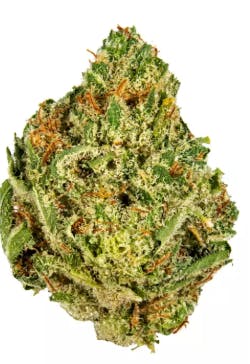 Product Golden Lemon Buds
