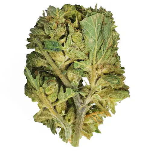 OG Farms - Forbidden Fruit - Exclusive Cannabis Michigan