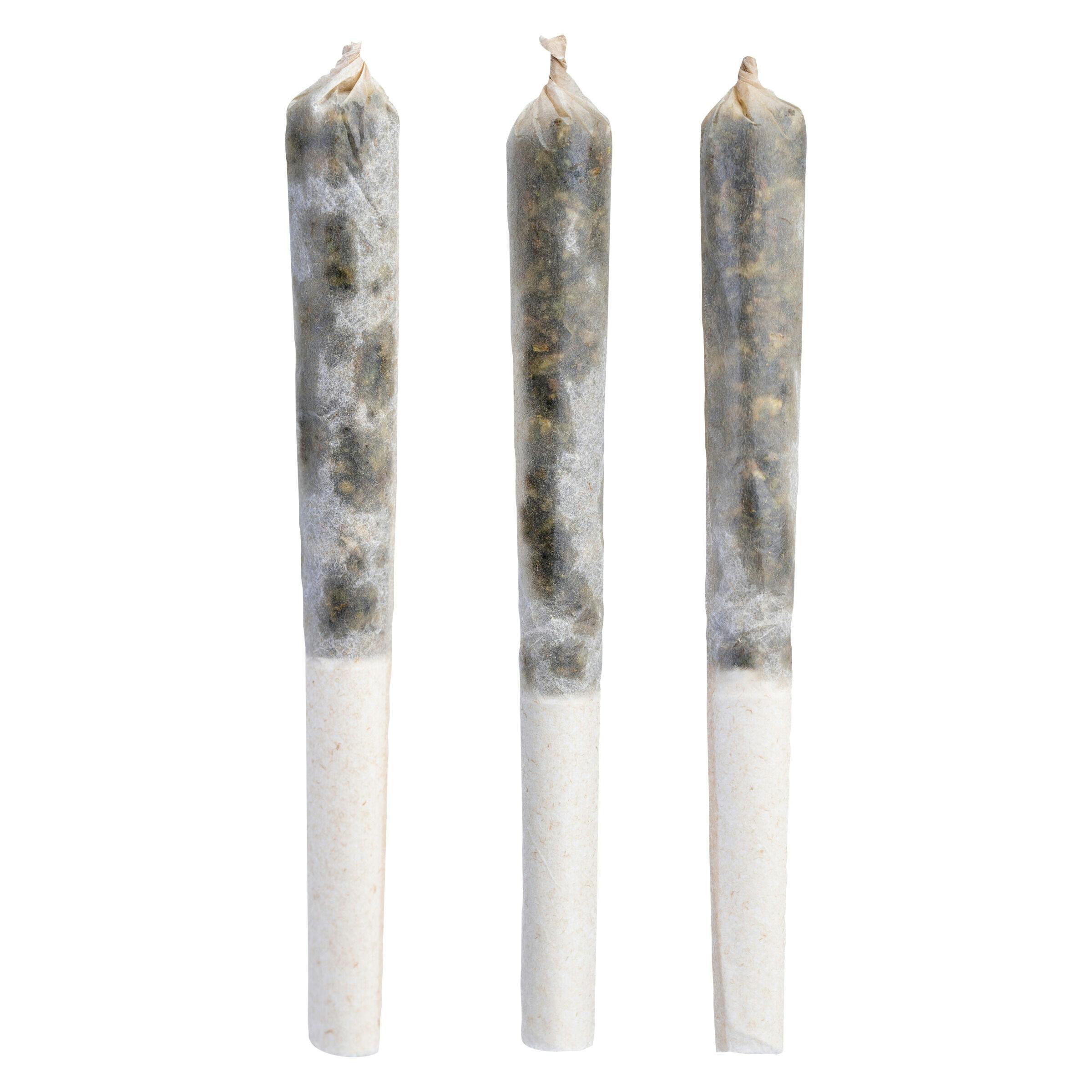 Tenzo - electric circus infused pre-roll - 3x0. 5g