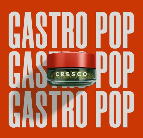 Gastropop | 7g-1