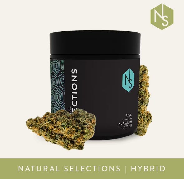 Sour Garlic Cookies • Ethos Cannabis