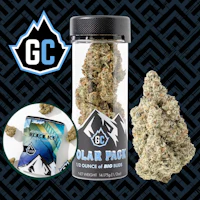 Polar Pack - Black Ice (14g) - product image at King of Budz