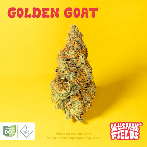 Tangie Dream 2.83g Flower | The Standard |