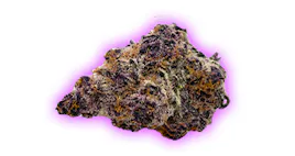 Flower category image