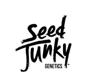Caffeine Pre-Pack Sativa/Hybrid by Seed Junky – Flower at Gatsby Cannabis