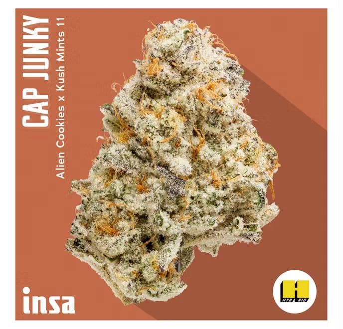 Insa - Flower 28g - Cap Junky