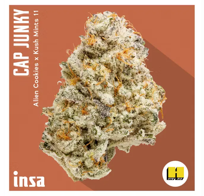 Insa - Flower 14g - Cap Junky | Happy Valley - Gloucester