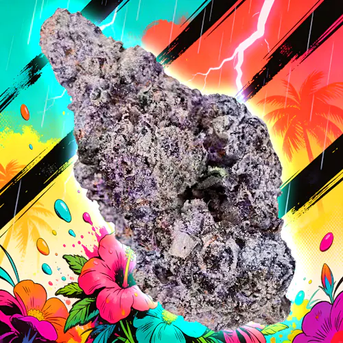 Flora – Hawaiian Rain x Permanent Marker – 3.5g-active