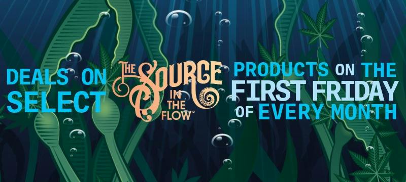 In The Flow Boutique Cannabis banner for The Source Dispensary in Rogers, Arkansas, featuring an underwater jungle design with cannabis leaves and octopus tentacle logo, promoting First Friday monthly deals on select In The Flow products.