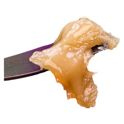 Live Rosin Diamond Jam (Mob Pie) | Sauce Rosin Labs