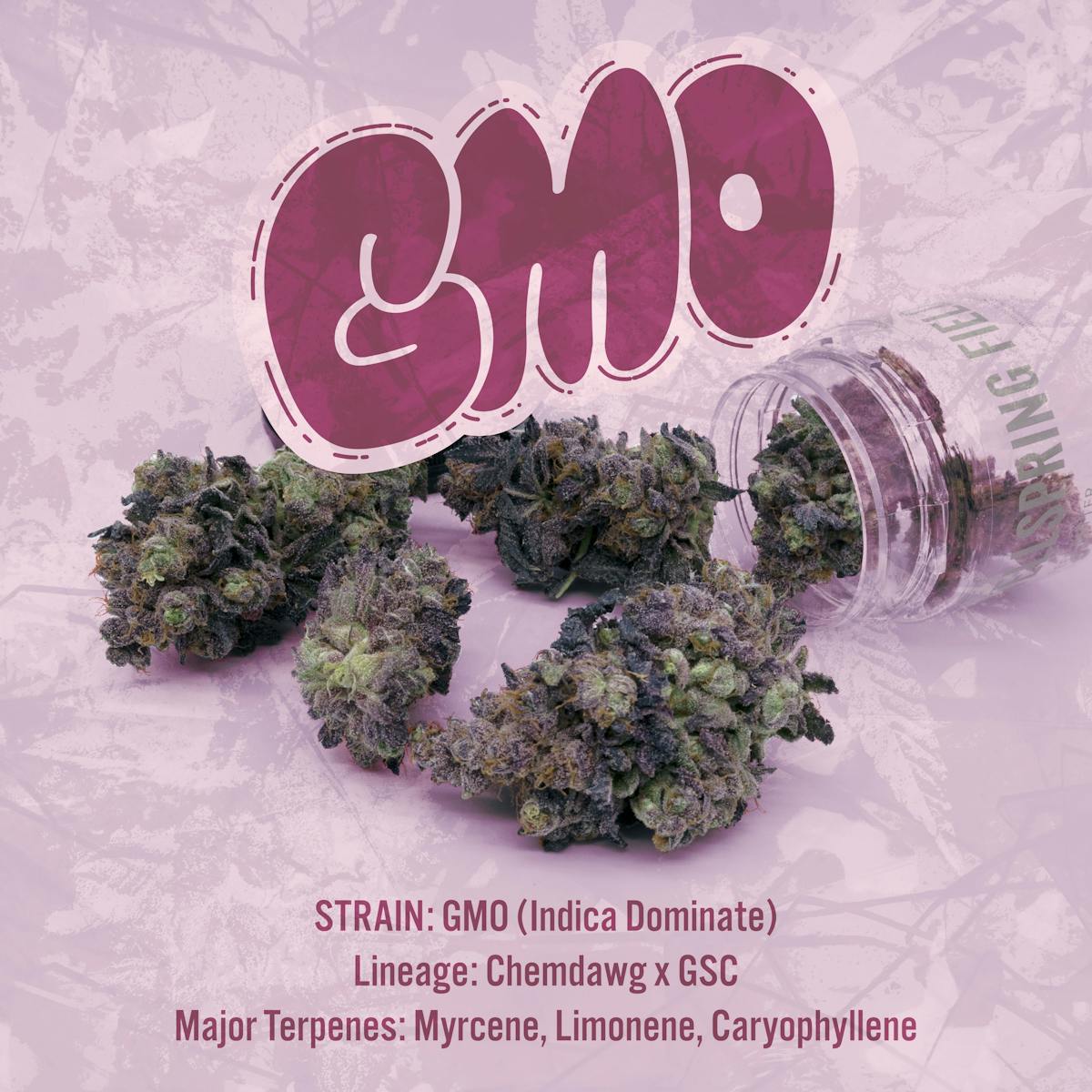 Photo of GMO