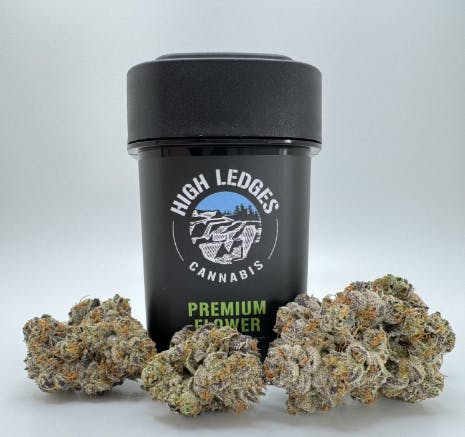 Product Motorbreath #15 Buds