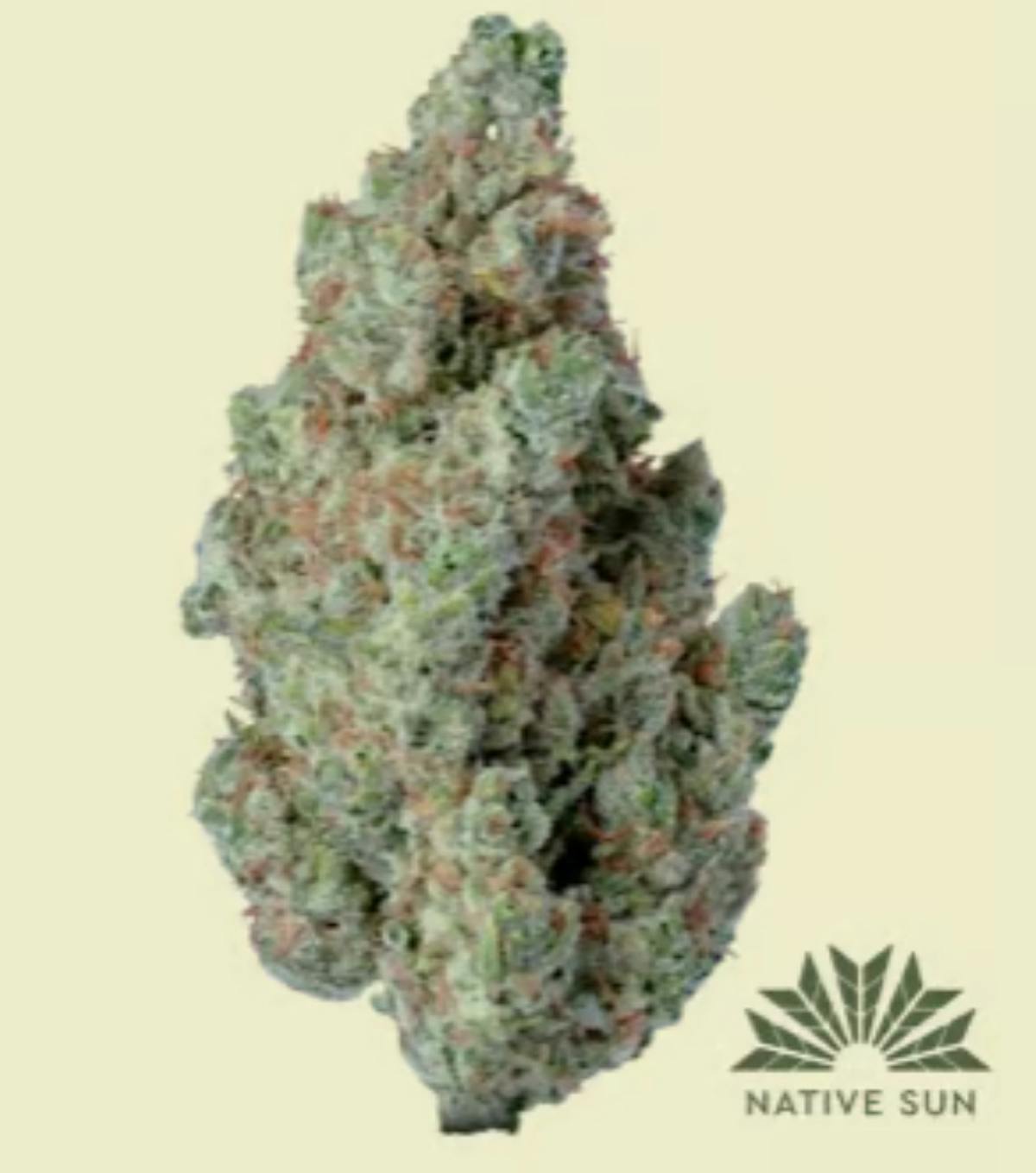 Photo of Watermelon Haze F2 3.5g Flower Native Sun