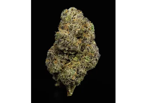 Cookies | Blue Razz | Indoor Grown Flower-active