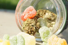 Edibles category image