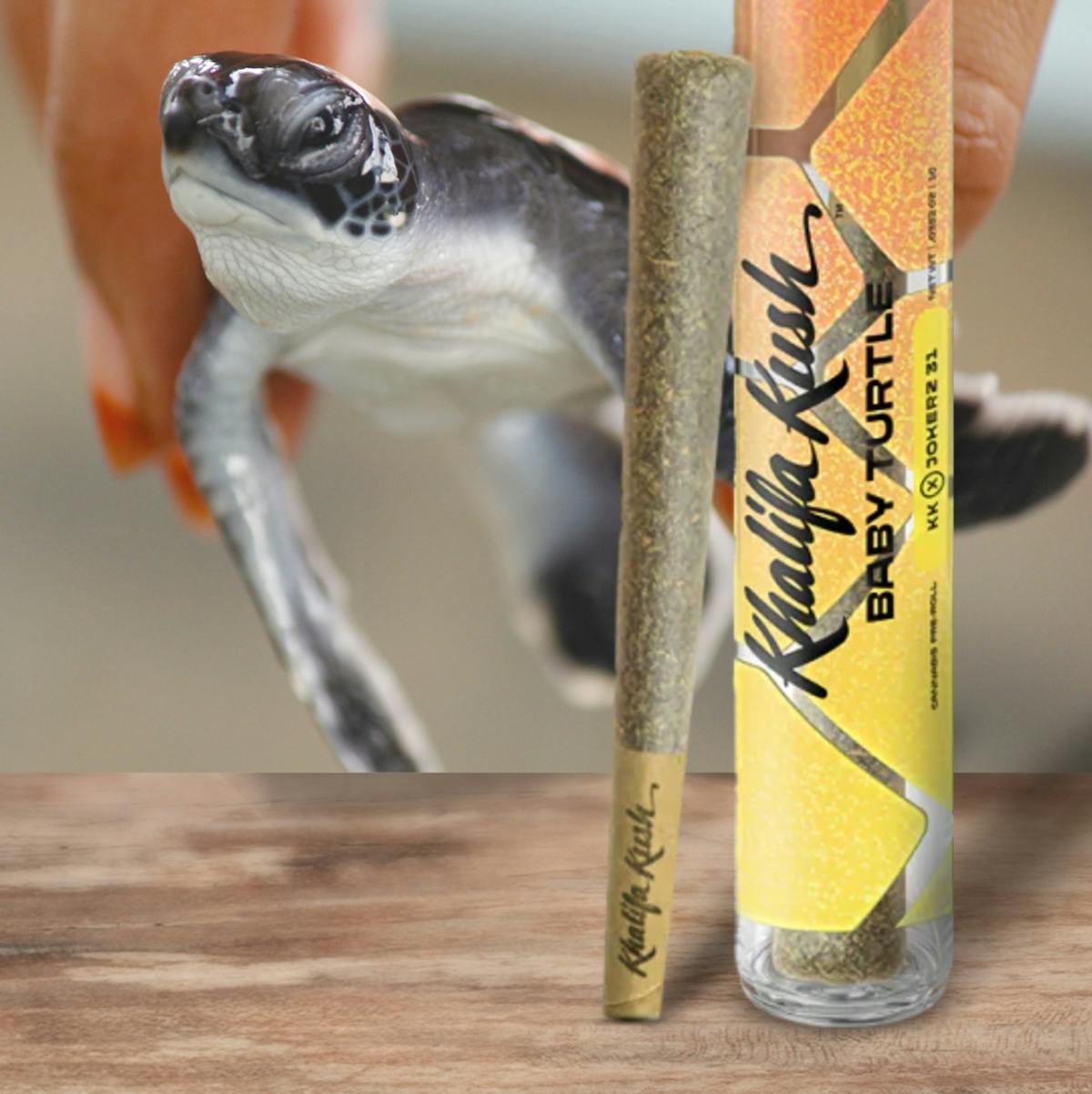 Photo of Khalifa Kush | Baby Turtle | Pre Roll