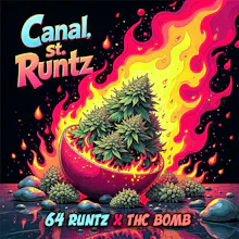 DELI - Canal Street Runtz - FLOWER by GOAT at King of Budz