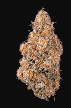 Product Purple Starfruit Buds