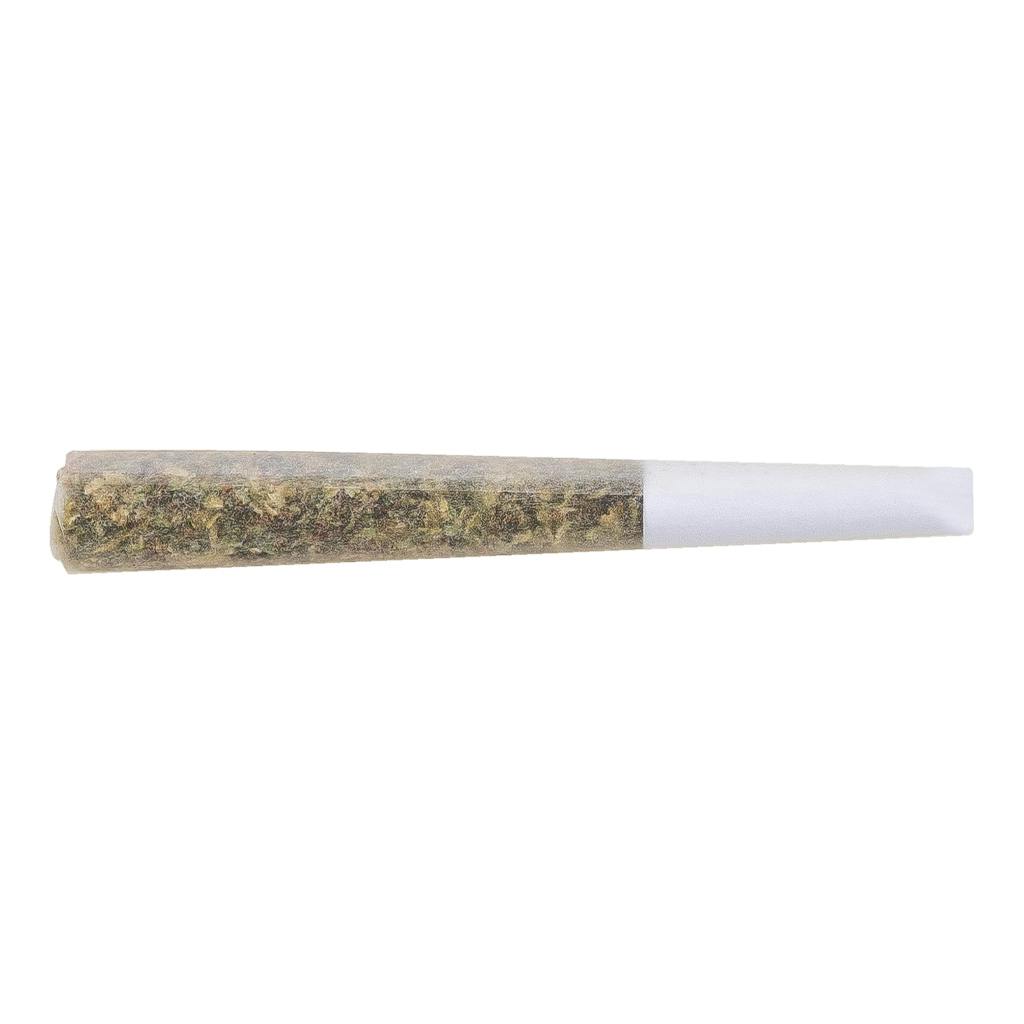 Pre-Roll | The Loud Plug - Exotic Gas - Indica