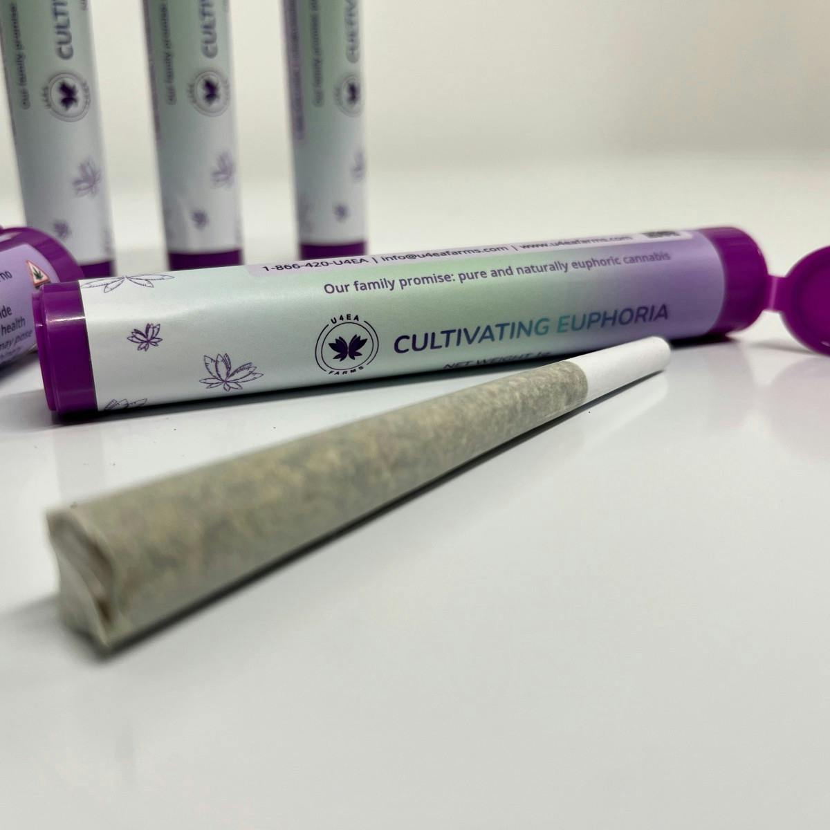 Product: U4EA Farms | Cherry Scented Marker | Hash Infused Preroll - 1g