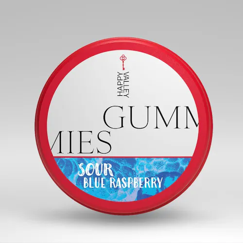 Sour Blue Raspberry Gummies | 20pk-active