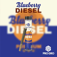 Blueberry Diesel 1g Pre-Roll - product image at King of Budz