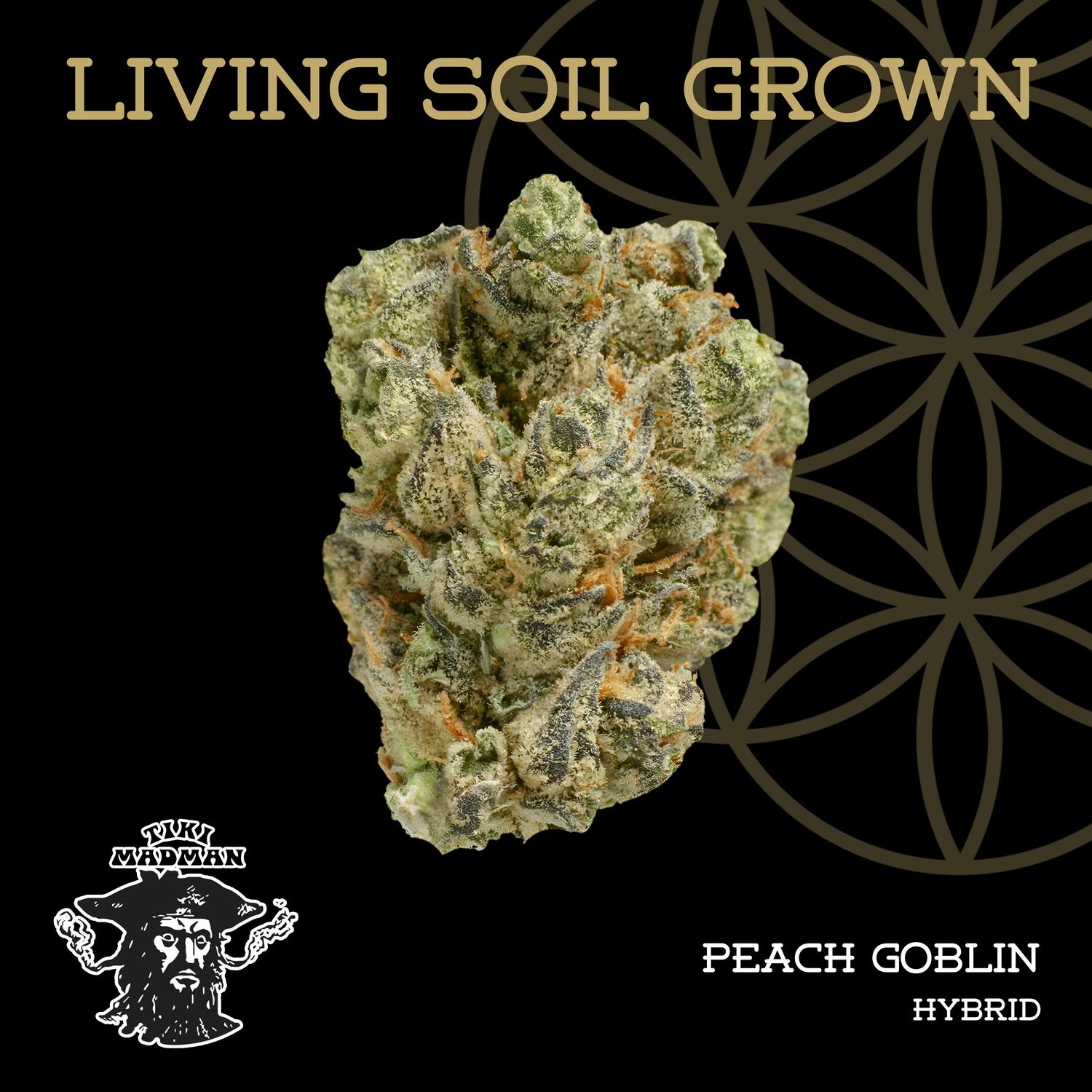 Flower of Life | Bulk Bud - Peach Goblin