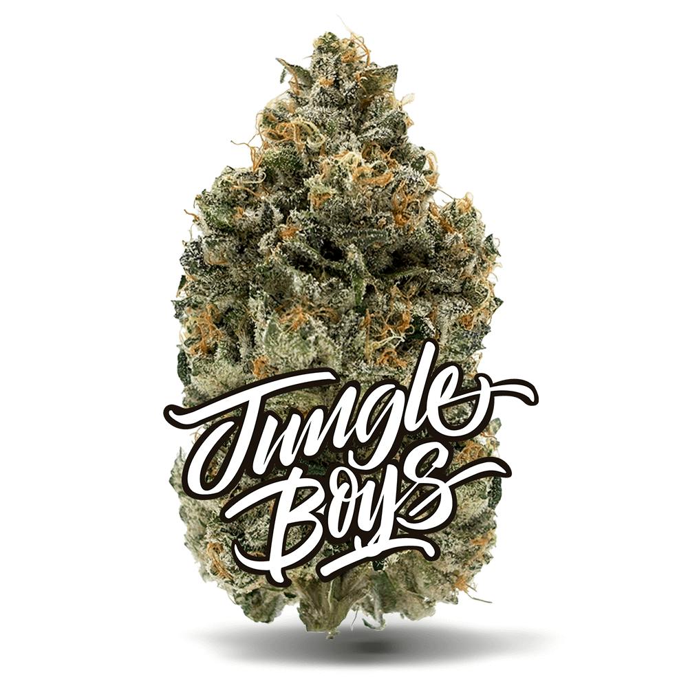 Shop Applez #11 - Premium Flower in Bonita Springs | Jungle Boys