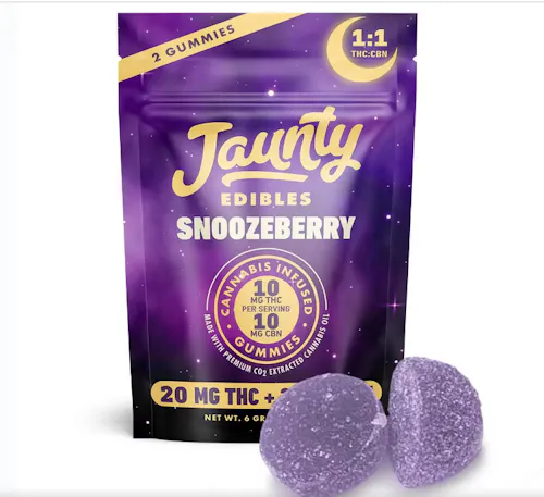 Dreamberry | Gummies | 2pk | 20mg-1