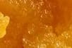 Photo of Rare Dankness – Sugar – Widow Fighter (H)