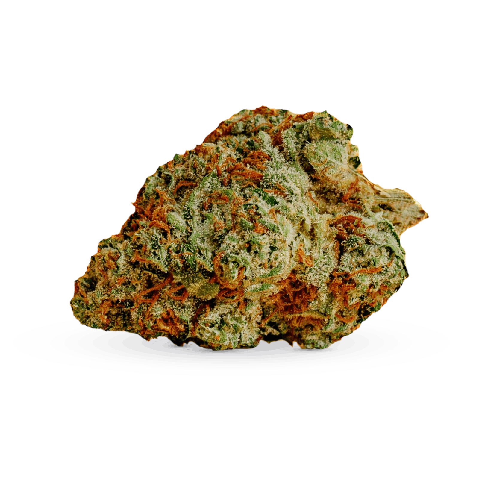 Ginger Dawg | Harvest Cannabis Co (Kitchener)