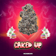 DELI - Michigrown - Caked Up - FLOWER by Michigrown at King of Budz