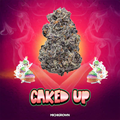 DELI - Michigrown - Caked Up - FLOWER by Michigrown at King of Budz