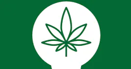Flower category image