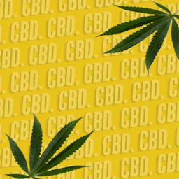 CBD category image