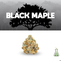 Product Black Maple