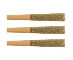 The Loud Plug - Key West Lime Infused Pre-Roll - Hybrid - 3x0.5g