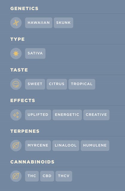Mowie Wowie (S) | 2g | Full Spectrum | Disposable | DIME - Image 2