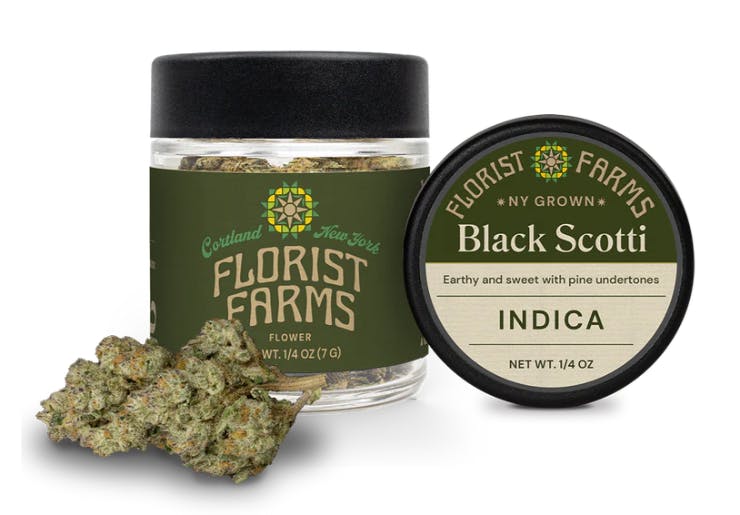 Black Scotti Indica | Florist Farms