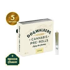 Photo of Night Owl Haze Mini Show Dogs 5-pack | 2.25g