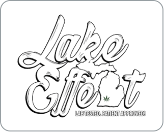 logo for Lake Effect - Kalamazoo 