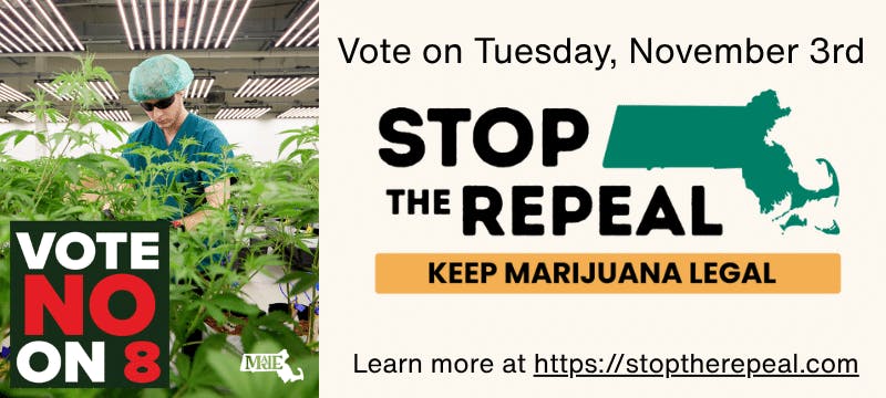 Keep Cannabis Legal in Massachusetts